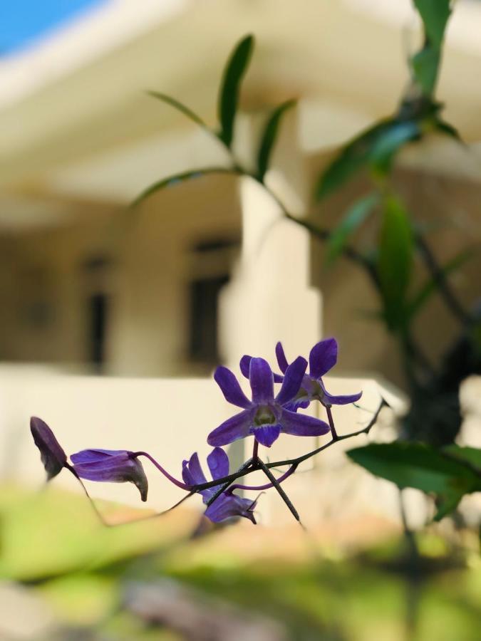 Paradise Garden Берувала Экстерьер фото