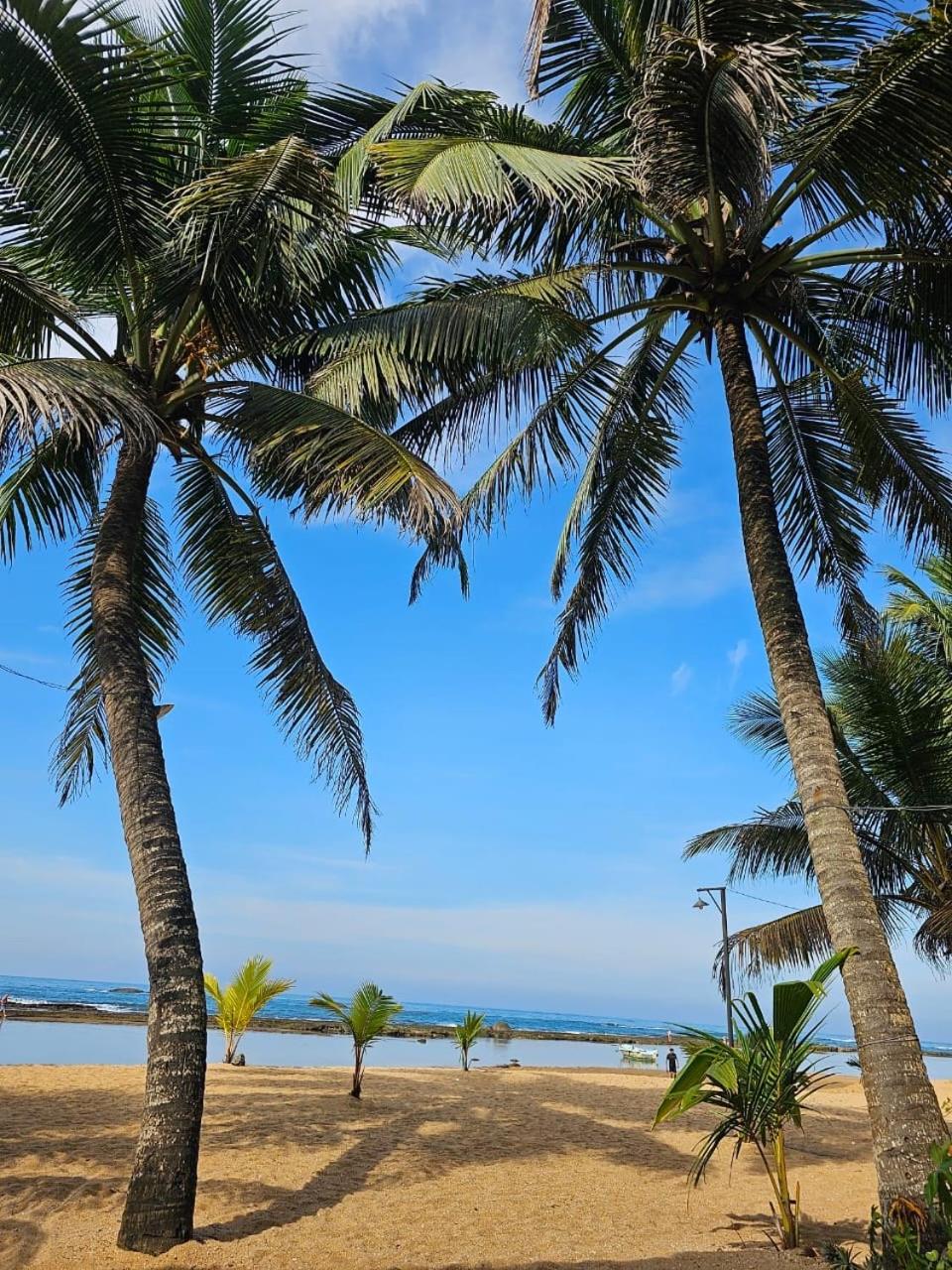 Paradise Garden Берувала Экстерьер фото