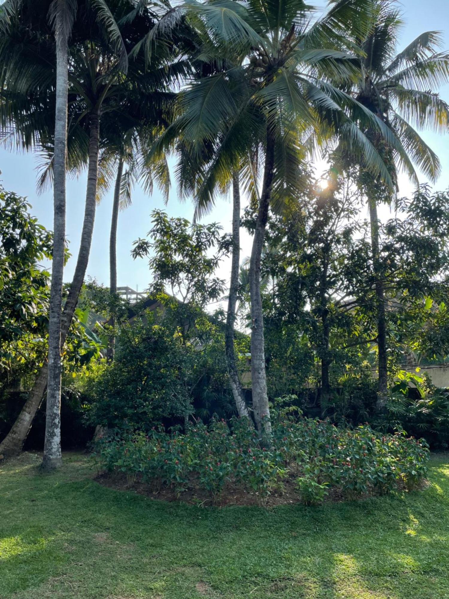 Paradise Garden Берувала Экстерьер фото